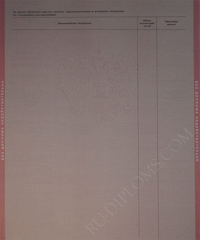 Диплом техникума или колледжа 2004-2006 год Диплом техникума или колледжа 2004-2006 год