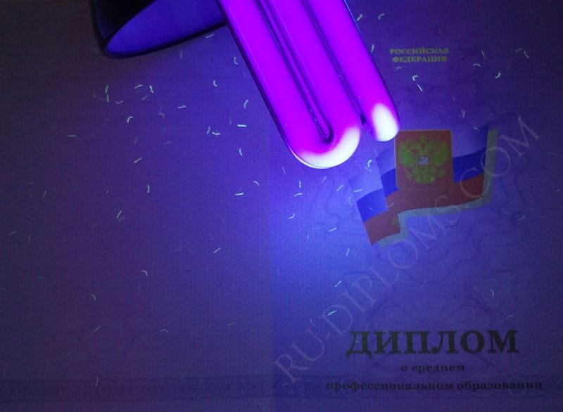 Диплом техникума или колледжа 2011-2013 год Диплом техникума или колледжа 2011-2013 год