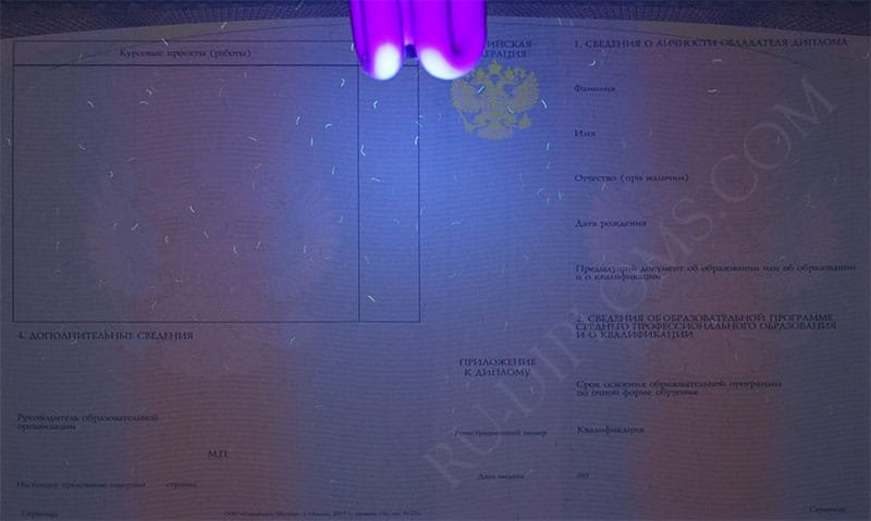 Диплом техникума или колледжа 2014-2025 НОВОГО ОБРАЗЦА Диплом техникума или колледжа 2014-2025 НОВОГО ОБРАЗЦА