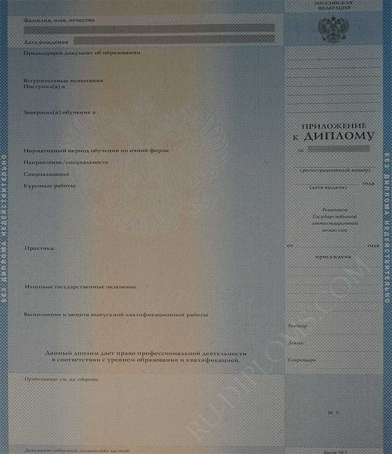 Диплом бакалавра 2004-2009 год Диплом бакалавра 2004-2009 год