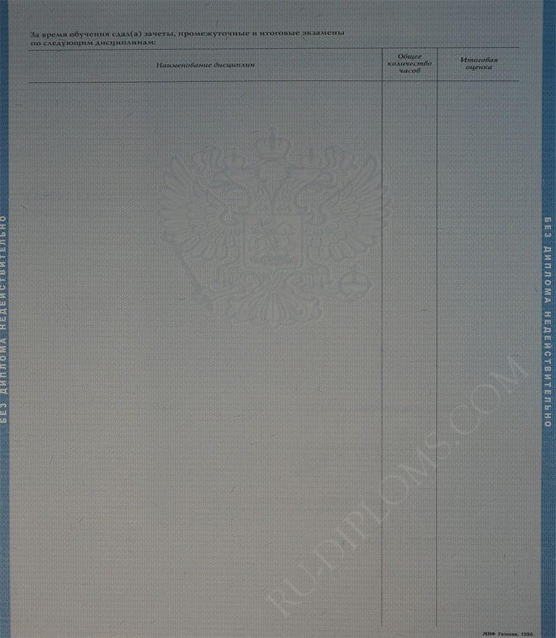 Диплом бакалавра 2004-2009 год Диплом бакалавра 2004-2009 год