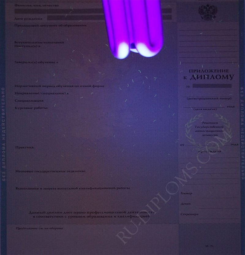 Диплом магистра 2004-2009 год Диплом магистра 2004-2009 год