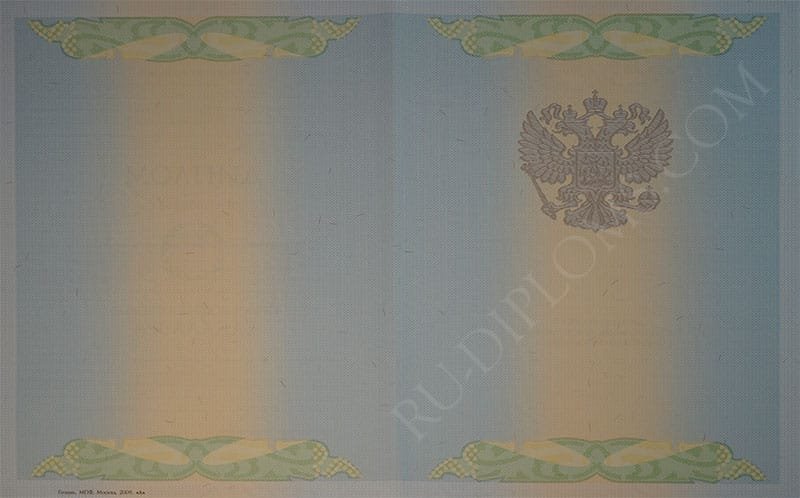 Диплом бакалавра 2004-2009 год Диплом бакалавра 2004-2009 год