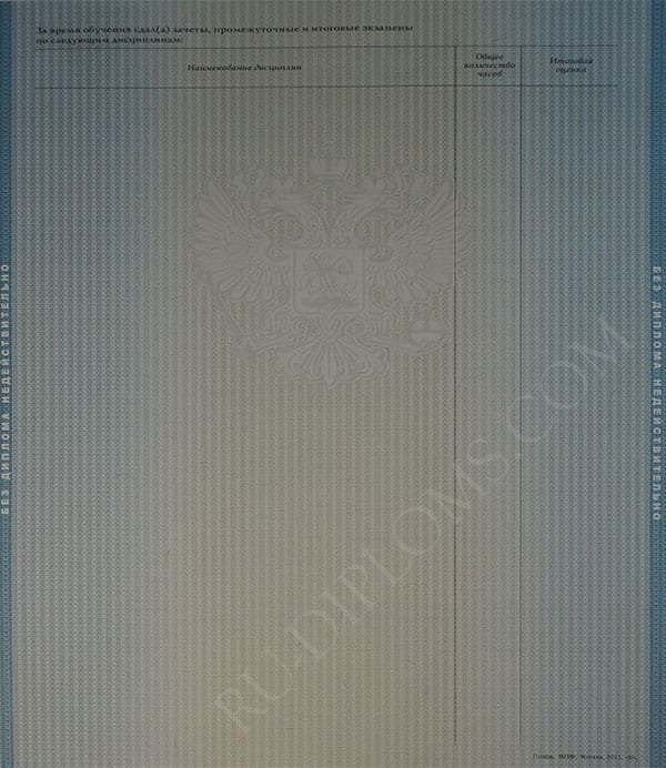 Диплом бакалавра 2010-2013 год Диплом бакалавра 2010-2013 год