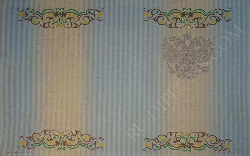 Диплом бакалавра 2010-2013 год Диплом бакалавра 2010-2013 год
