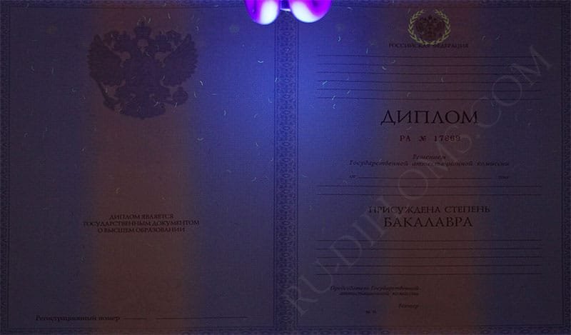 Диплом бакалавра 2010-2013 год Диплом бакалавра 2010-2013 год