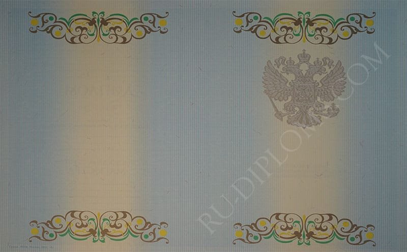 Диплом магистра 2010-2013 год Диплом магистра 2010-2013 год